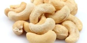 Cashew Nuts