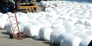 Corn Silage