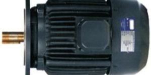 Flange Mounting Motor