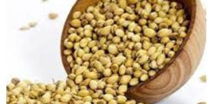Coriander Seeds