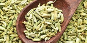 Fennel Seeds
