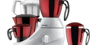 Butterfly Mixer Grinder