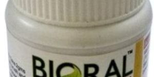 Natural Gum Care Powder