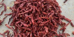 BYADGI STEMLESS RED CHILLI