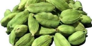 Cardamom 8MM