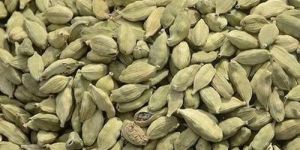 Green Cardamom