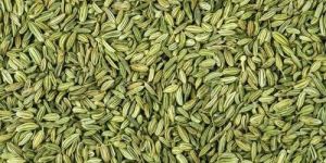 Organic Fennel Seeds