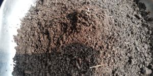 Organic Manure