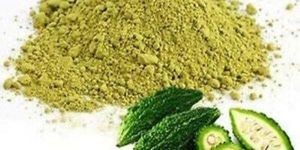 Bitter Gourd Rice Mix Powder