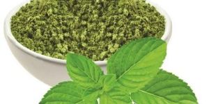 Mint Leaf Rice Mix Powder