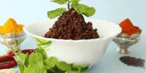 Mint Leaves Pickle