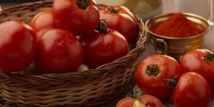 Tomato Pickle