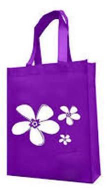 LAMINATED NON WOVEN BAG