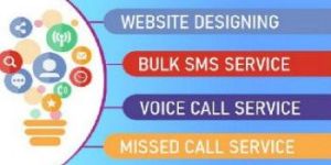 Bulk Voice Calls Services