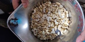 Cashew Nuts