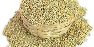 Organic Green Millets