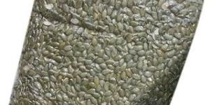 Organic Pumpkin Seed