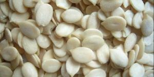 Organic Watermelon Seed