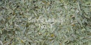 Senna Leaves