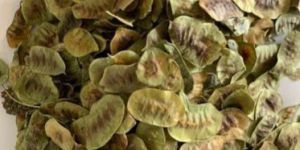 Senna Pods
