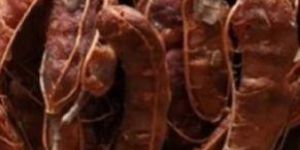 Tamarind Kernel