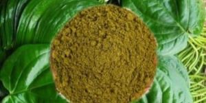 Betel Leaf Powder