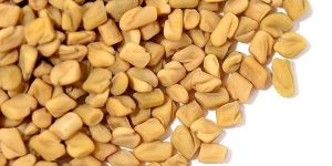 Fenugreek Seeds