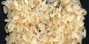 Swarna Parboiled 5% Broken Non Basmati Rice