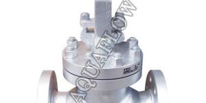 SS/WCB Globe Valve