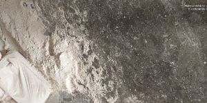 Tamarind Seed Powder