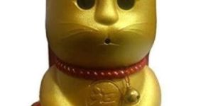 Wireless Hidden Camera