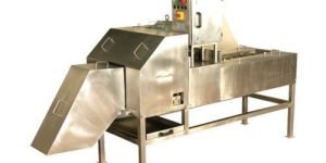 (2000 Kg/hour) Raw Mango Cube Cutting Machine