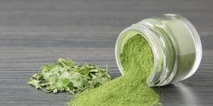 Moringa Powder