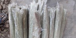 Natural Brooms