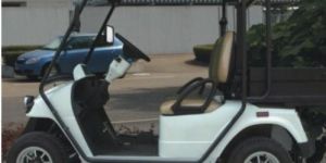 Street Electric Vehicles