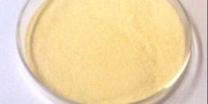 Amino Acid Powder
