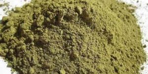Tulsi Powder