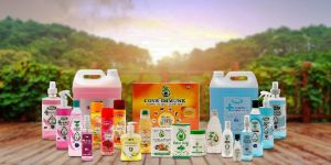 E Commerce Product Photography Service