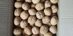 Kashmiri Walnuts