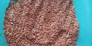 Organic Flax Seed