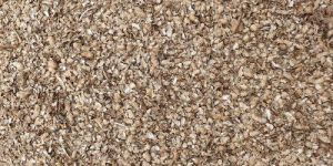 Organic Groundnut Shell