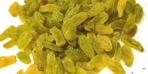 Dried Green Raisins