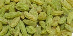 Fresh Green Raisins