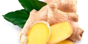 Ginger