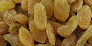 Raisin
