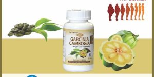 Garcinia Cambogia Capsules