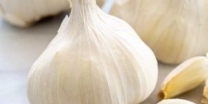Fresh Garlic