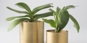 Brass Flower Pot