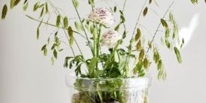 Glass Flower Pot