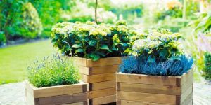 Wooden Flower Pot